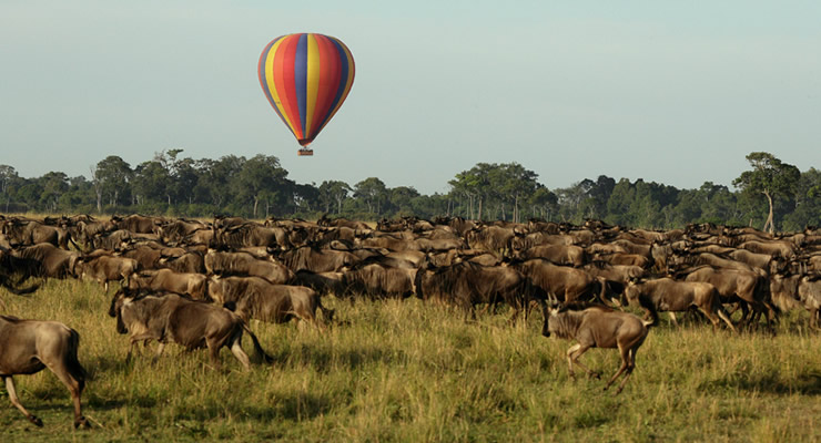 Hot Air Balloon Sunrise — Silent hot air balloon floating above wildlife herds at dawn.
